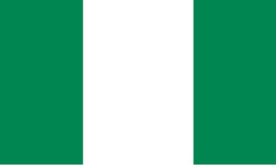 Nigeria flag 1