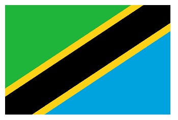 Tanzania flag 1