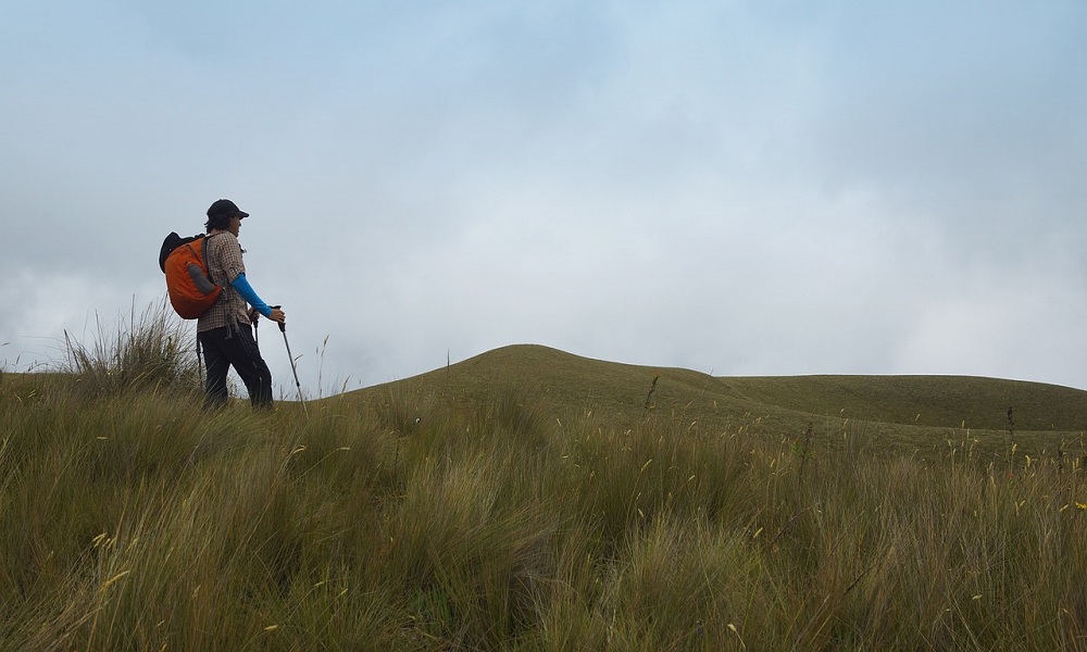 walking with trekking poles