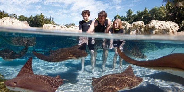 Discovery Cove