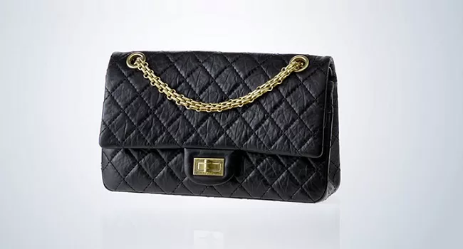 Top 10 Brands in Ladies Handbag in India - Bloggers Heaven Blog