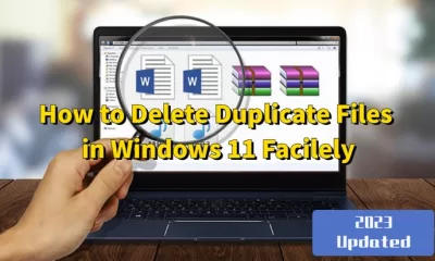 How to Delete Duplicate Files in Windows 11 Facilely