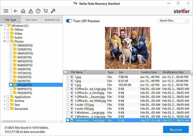 Stellar Data Recovery Standard - trun off Preview