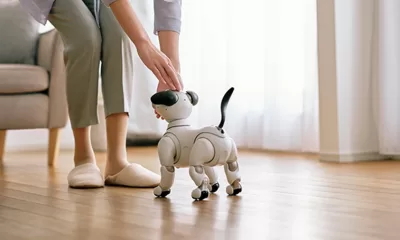 AI pets