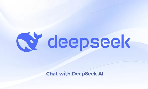 DeepSeek