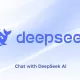 DeepSeek